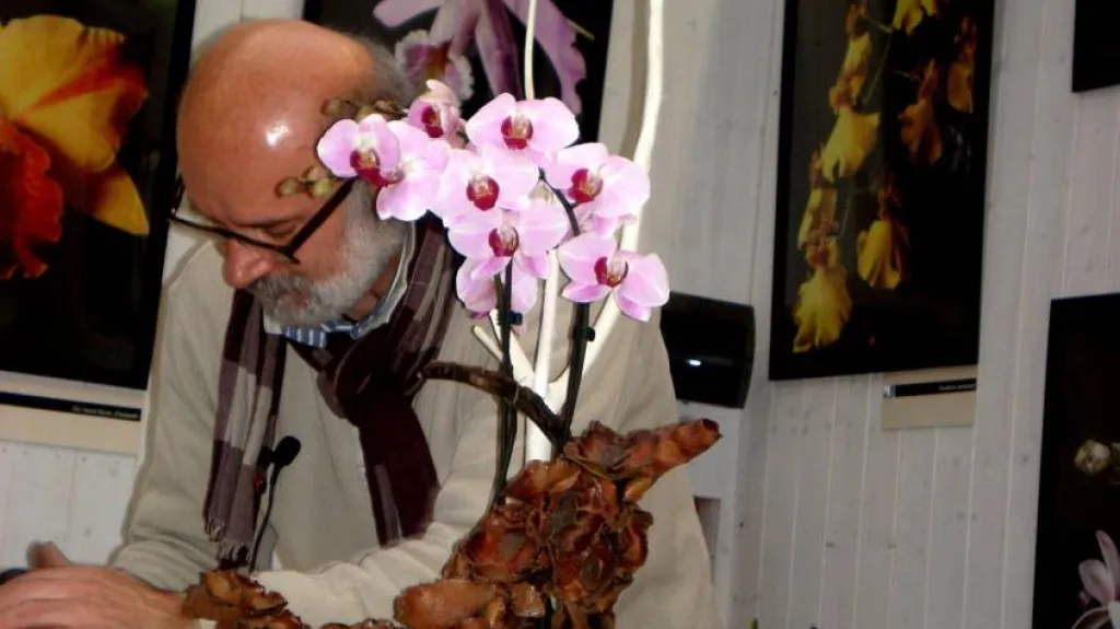 Dny kouzelných orchidejí Teplice