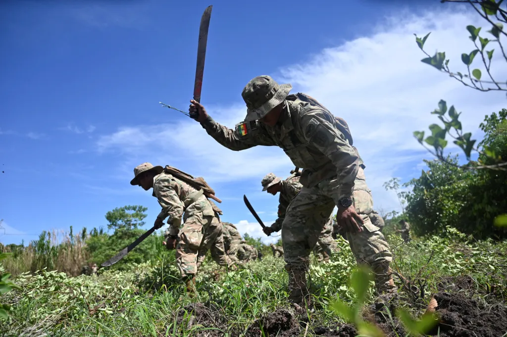 Bolivijští vojáci ničí rostliny koky