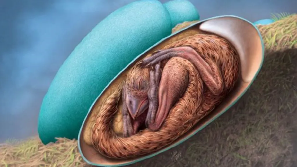 Dinosauří embryo ve vejci