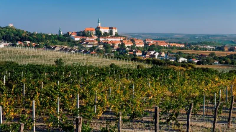 UDÁLOSTI: Jižní Morava míří ke středomořskému klimatu