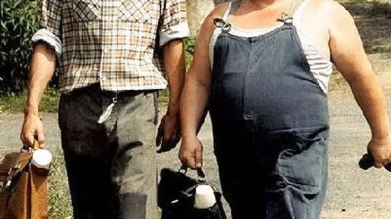 Vesničko má, středisková