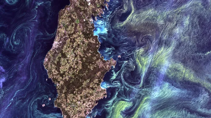 Vodní květ na satelitních snímcích