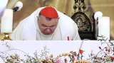 Národní eucharistický kongres, na snímku kardinál Dominik Duka