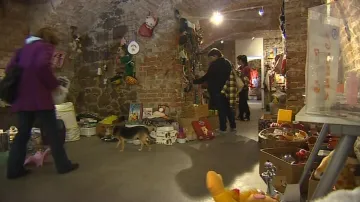 Koná se akce Plná miska