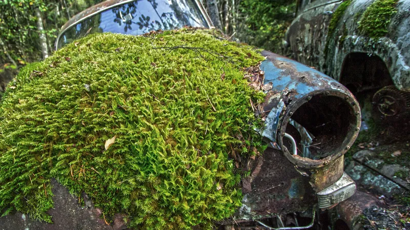 Bastnäs - švédský hřbitov aut veteránů