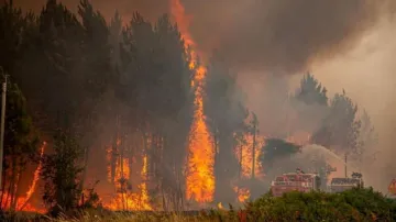 Požár lesa nedaleko francouzského města Landiras