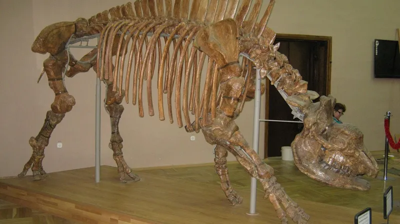 Elasmotherium
