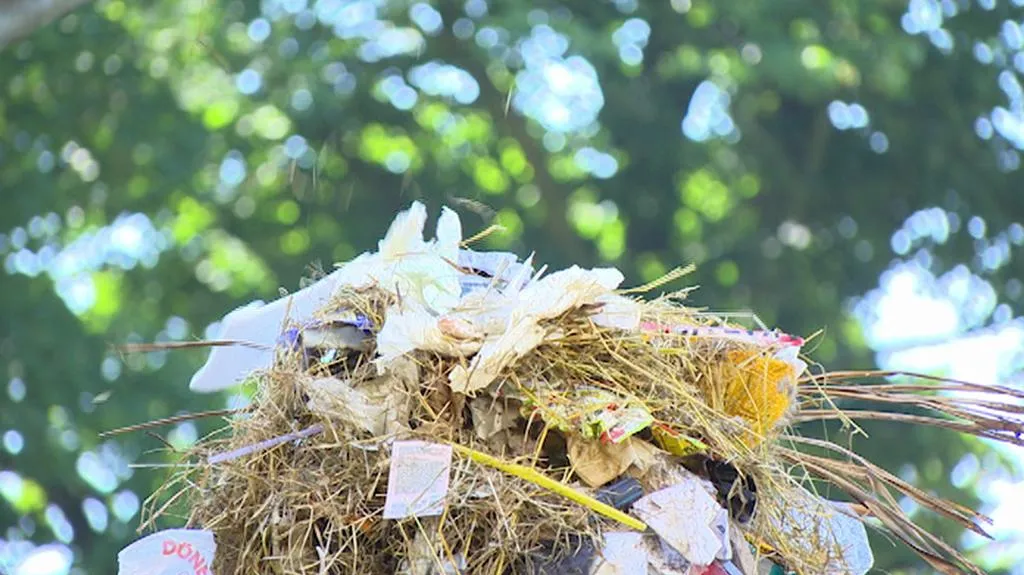 S návštěvníky mizí z hradeckého festivalparku také tuny odpadků