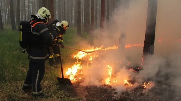 Hasič bojuje s lesním požárem na Hodonínsku