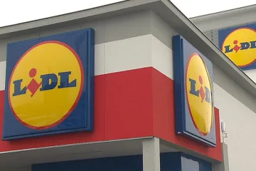 Lidl měl po spuštění e-shopu přetížený systém. Elektronické nakupování chystá i Globus