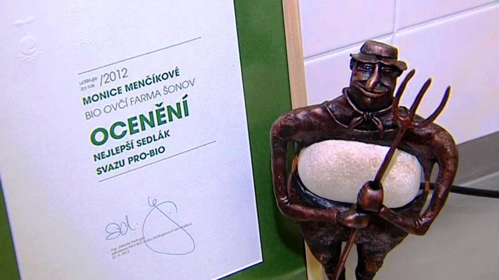 Ocenění pro Moniku Menčíkovou