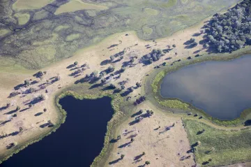 Nejslavnější světový mokřad letos rekordně hoří. Pantanal zaznamenal třikrát více požárů než loni