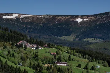 Krkonošská tundra zaniká, vědci usilují o záchranu unikátních druhů