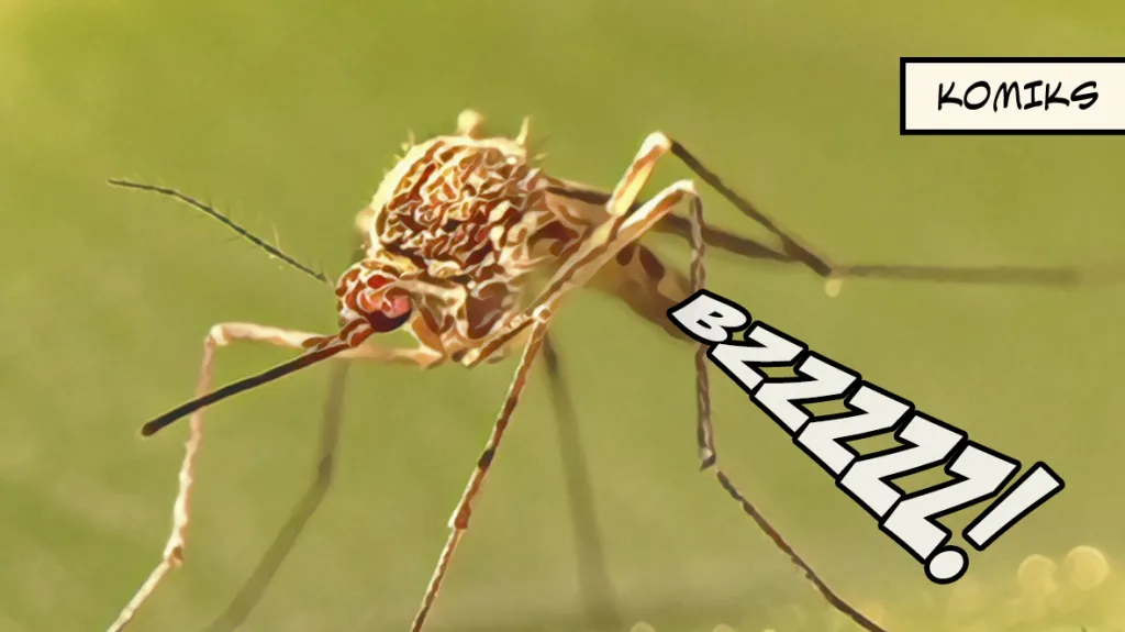 Američané si oblíbili postřiky proti komárům. Odborníci varují před ekologickými dopady