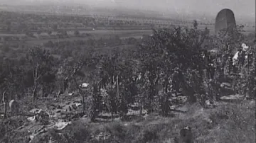 Trosky havarovaného letadla