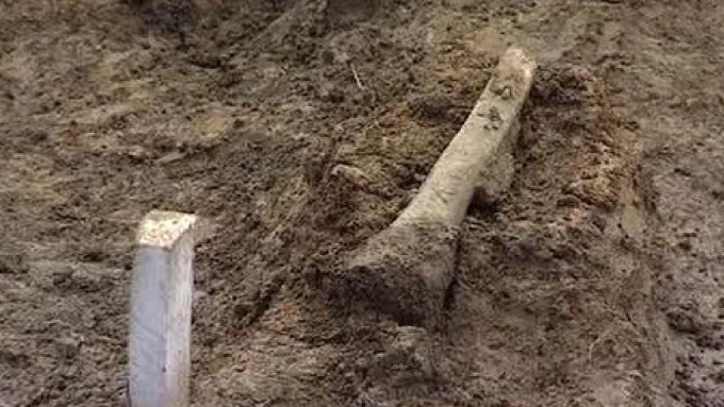 Vykopávky v Dobroníně