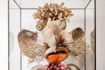Poddejte se svým obsesím, radí Jan Švankmajer výstavou v Kutné Hoře