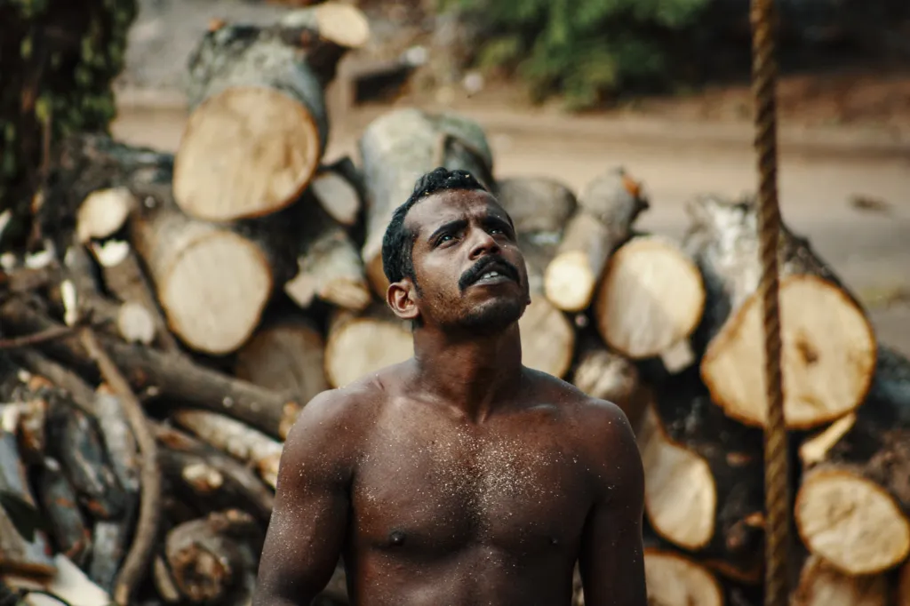 Fotografie ze souboru vítěze kategorie do 14 let Daniela Kurana: Kerala, Indie. „Ten muž právě slezl z koruny vysokého stromu, jehož větve právě dořezal. Za ním můžete vidět, jak mohutné byly.“