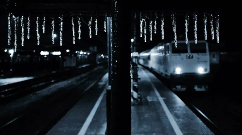 Fotografie ledovky od Martina Straky