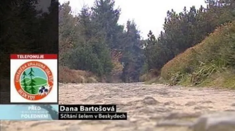 Dana Bartošová ve Studiu ČT24