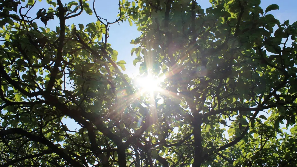 Meteorologové varují před pobytem na přímém slunci