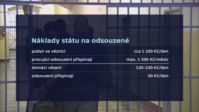 Náklady na odsouzené