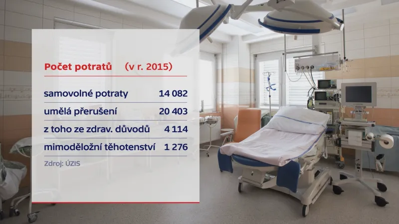 Počet potratů v roce 2015