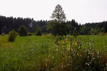 Petice požaduje šetrnější přístup zemědělců ke krajině. Ti odmítají být v roli hlavních viníků