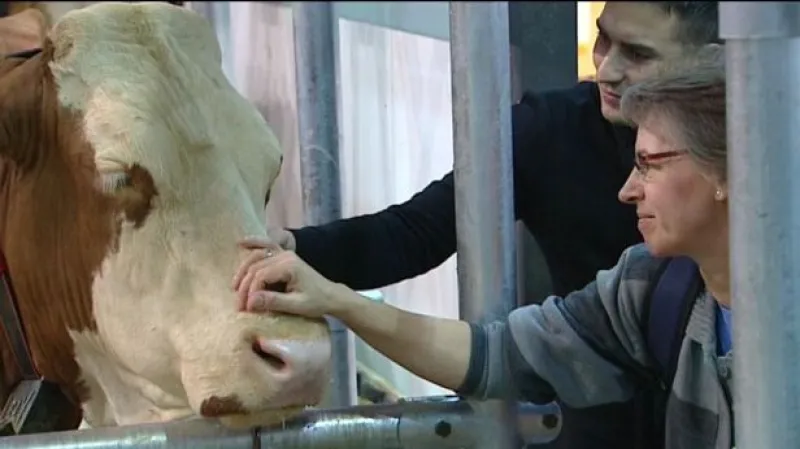 Rozhovor se Zdeňkou Goedertovou