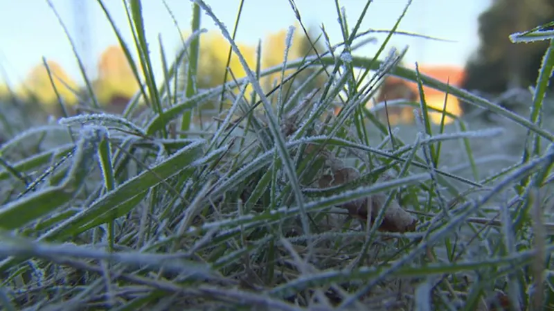 Mrazivé ráno zaskočilo nejen řidiče, ale i zahrádkáře