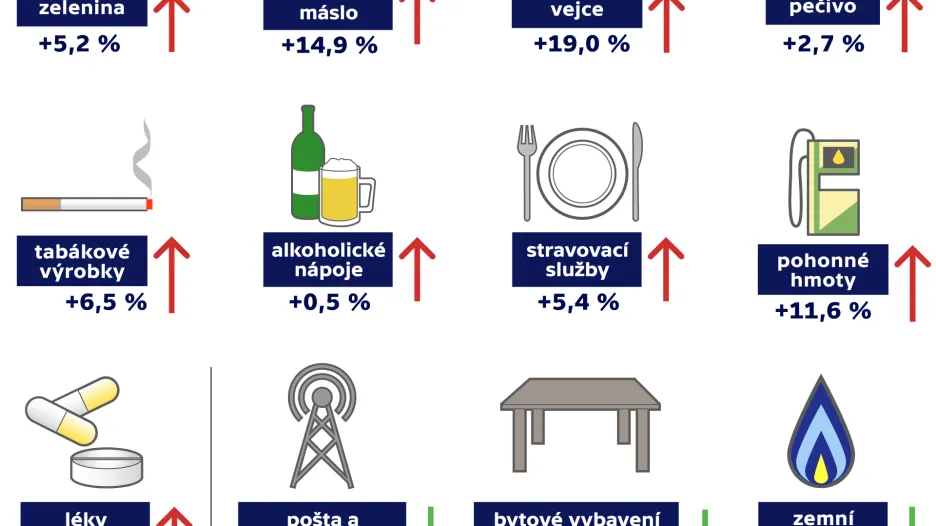 Meziroční změny cen v lednu 2017