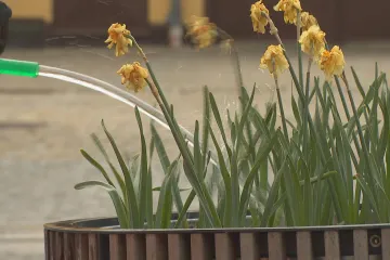 Dopady změny klimatu jsou stále intenzivnější, adaptace pokulhává
