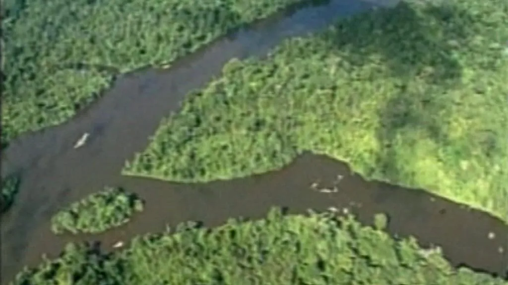 Amazonie