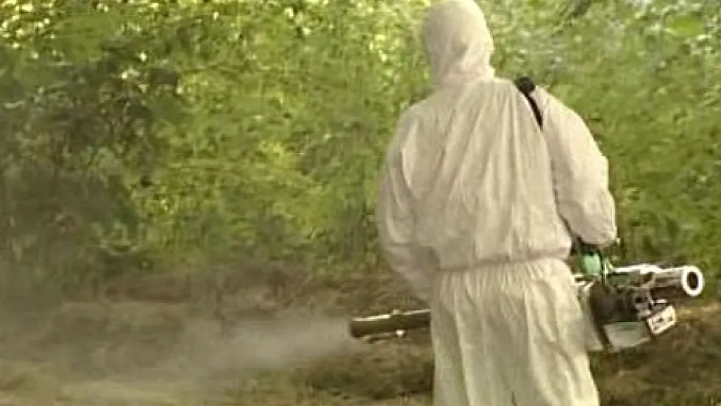 Postřik komářích larev