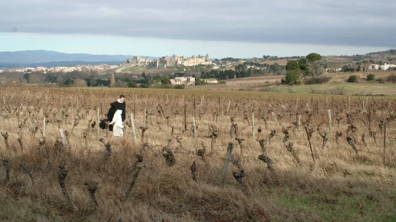 Dominikáni – řád bratří kazatelů