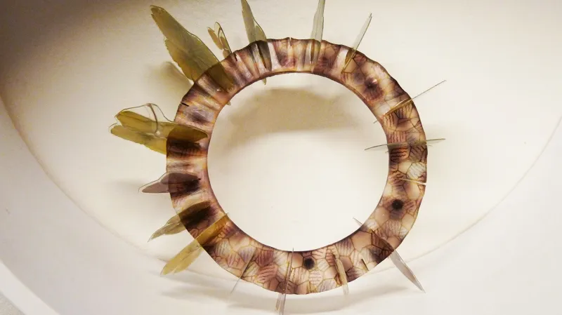 Simona Kafková: Dříve a nyní