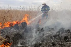 V největším polském národním parku zuří rozsáhlý požár, zřejmě za něj může nelegální vypalování