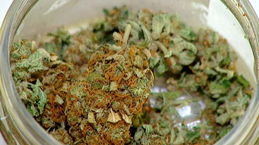 Marihuana
