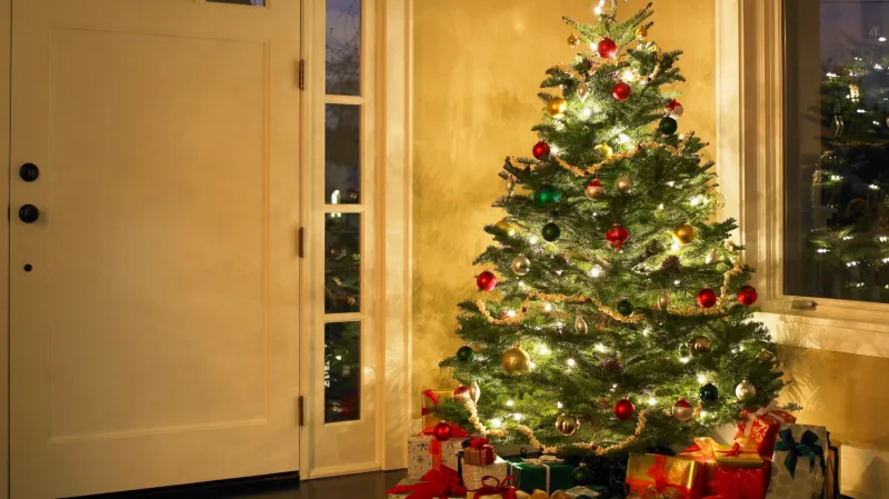 Vánoční stromeček