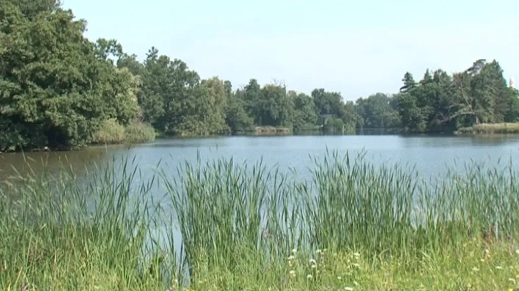 Zámecký rybník v Lednici
