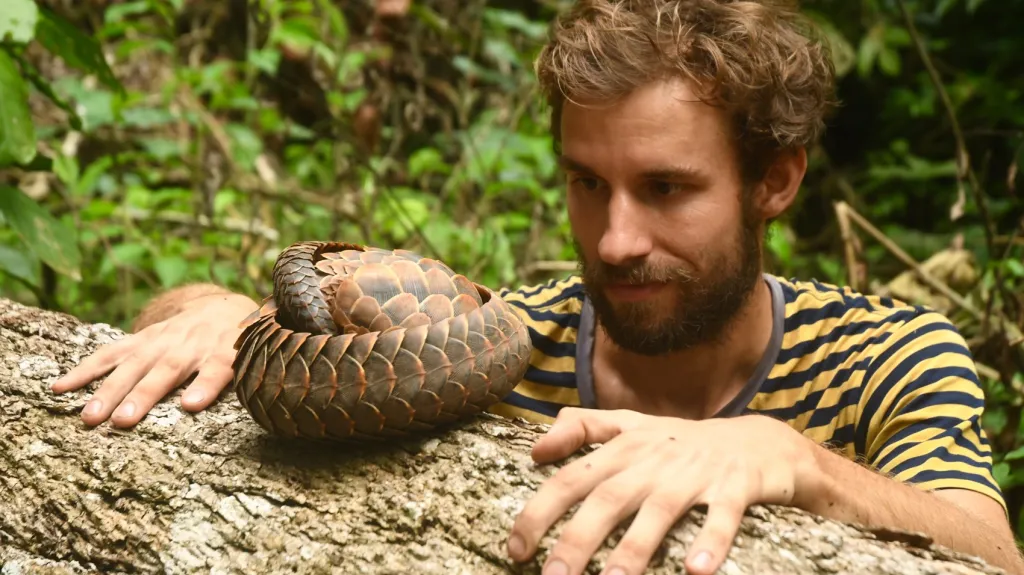 Luskoun dlouhoocasý