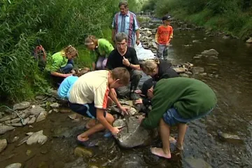 V Bystřici vystopovali žraloka