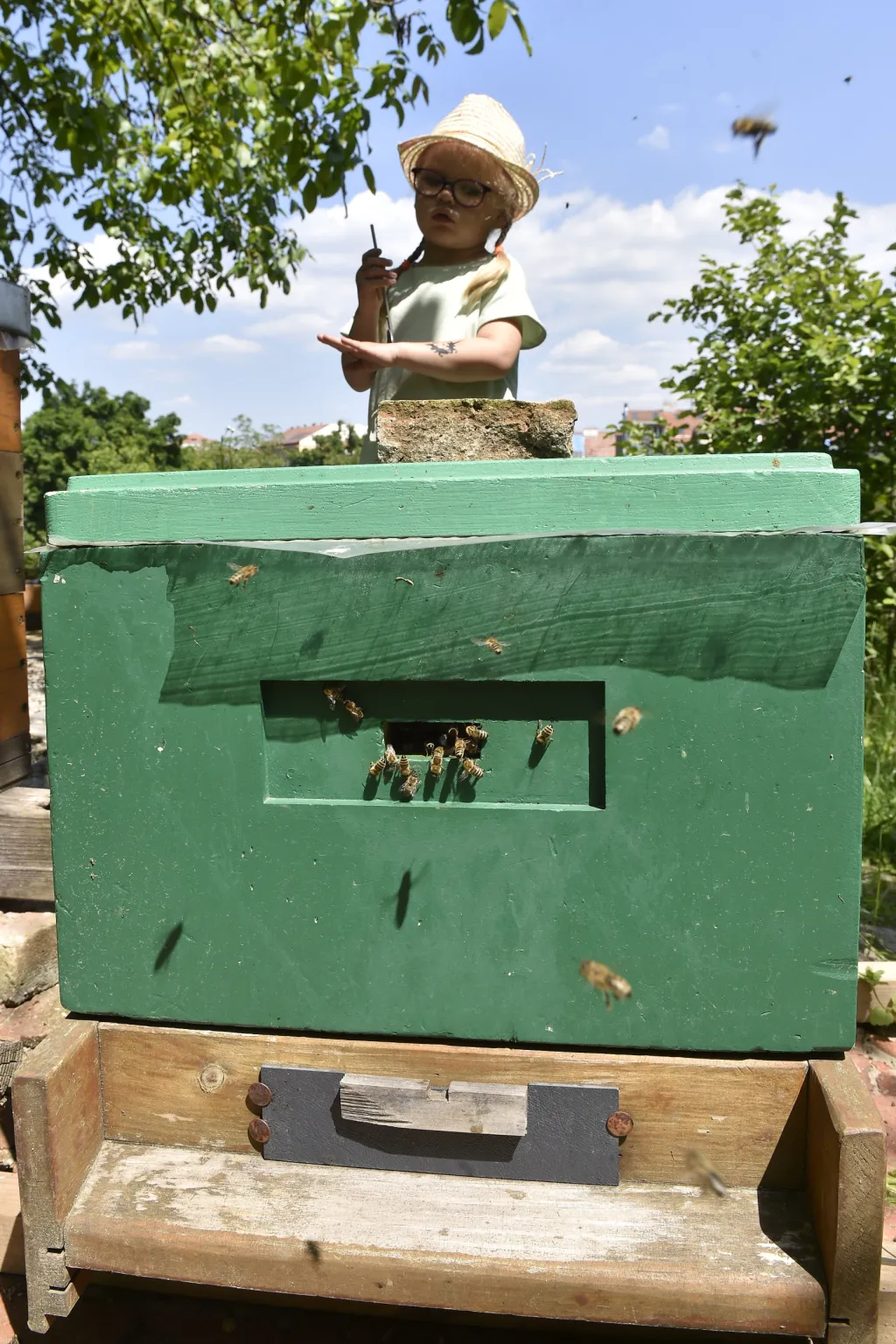 Česká republika patří k zemím s nejvyšší koncentrací na kilometr čtvereční. Vyšší koncentrace znamená vyšší rizika šíření včelích chorob. Situace u včel je, na rozdíl od jiných doma chovaných zvířat, o to složitější, že včely létají běžně do vzdálenosti až tří kilometrů, a vzájemný kontakt včelstev různých chovatelů je tak značný