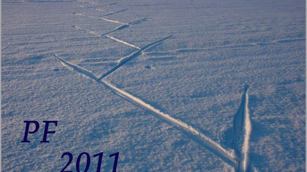 PF 2011