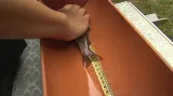 Měření ryb