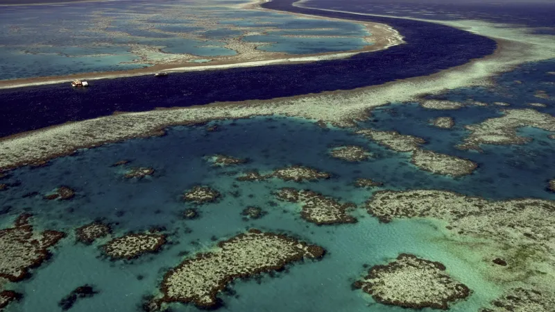Velký korálový útes