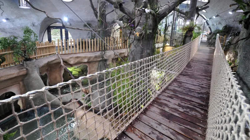Tropický pavilon v jihlavské zoo