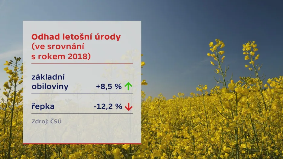 Odhad letošní úrody