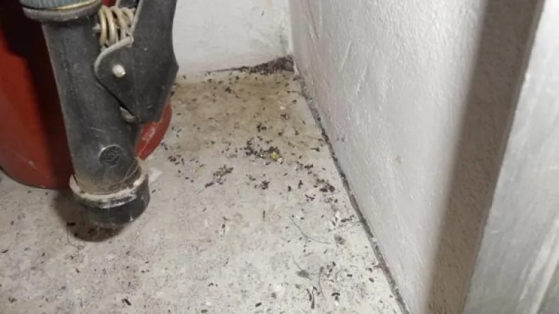 Znečištění zjištěné SZPI v podnicích v Jihlavě a Rudné