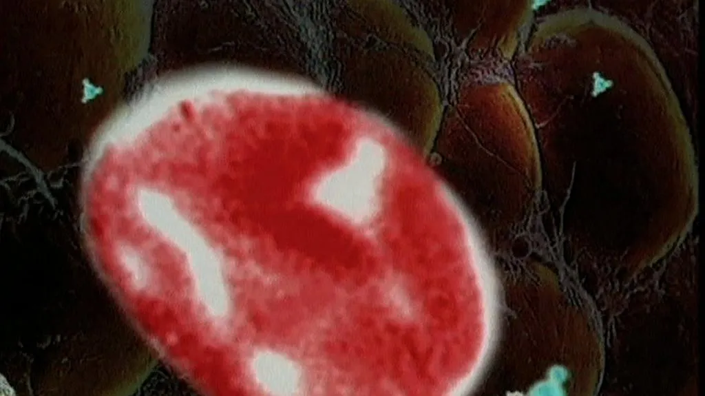 Číštění vody pomocí nanovláken